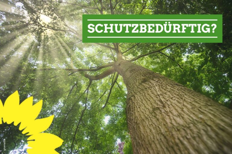 Baumschutzsatzung für Ibbenbüren