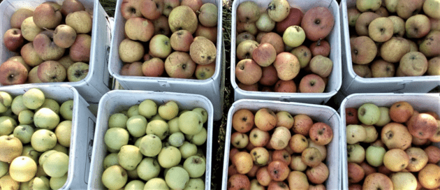 Gegen Diskriminierung, Rassismus, Rechtspopulismus und Rechtsradikalismus.