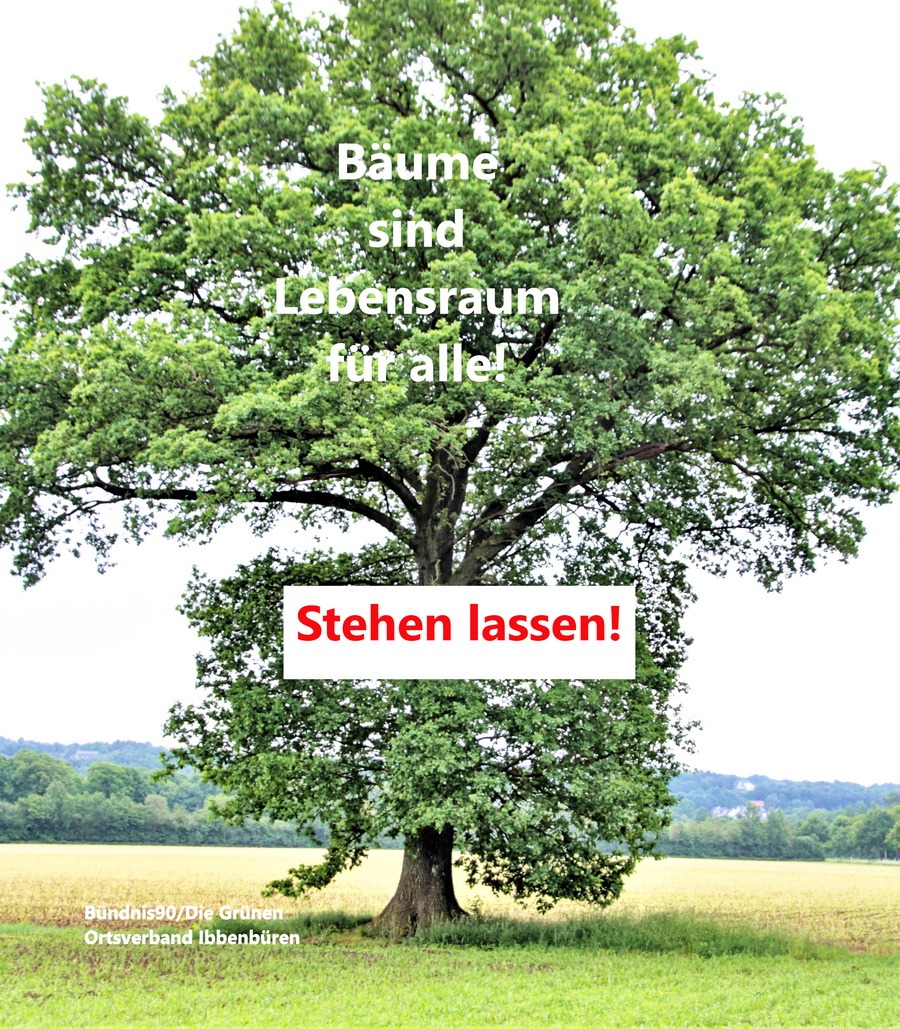 Plakat Zur Bockradener Straße