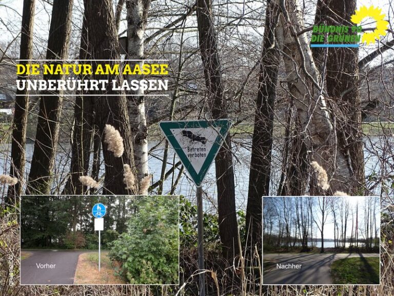 Baumfällungen am Aasee — Uferneugestaltung ohne Rücksicht auf Naturschutz