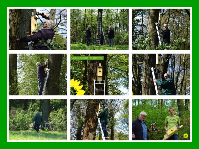 Fledermauskästen für Ibbenbüren