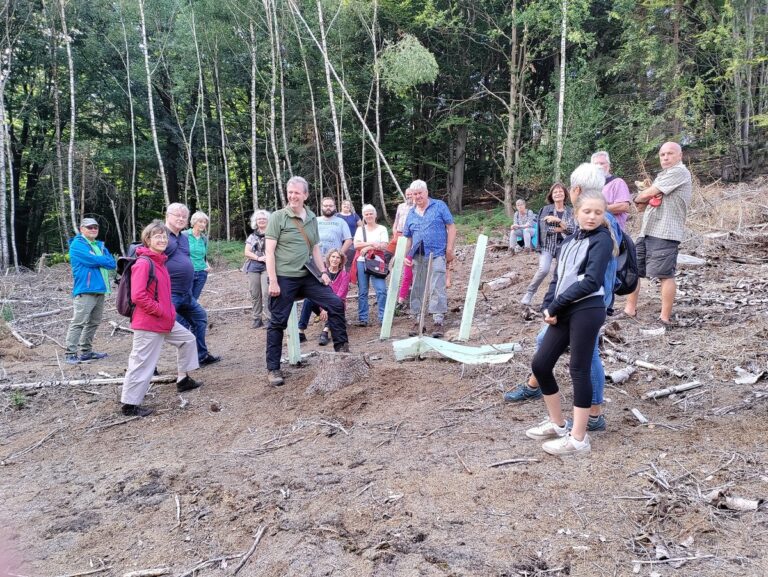 Über Stock und noch mehr Stöcke