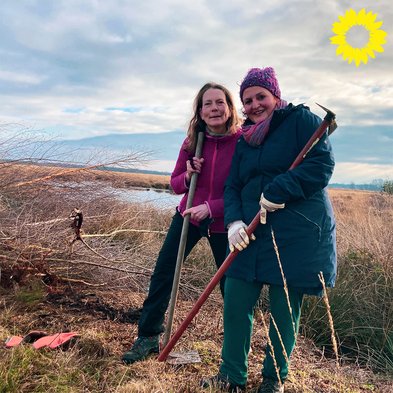 Entkusseln im Recker Moor – Was ist das? Warum ist es wichtig?