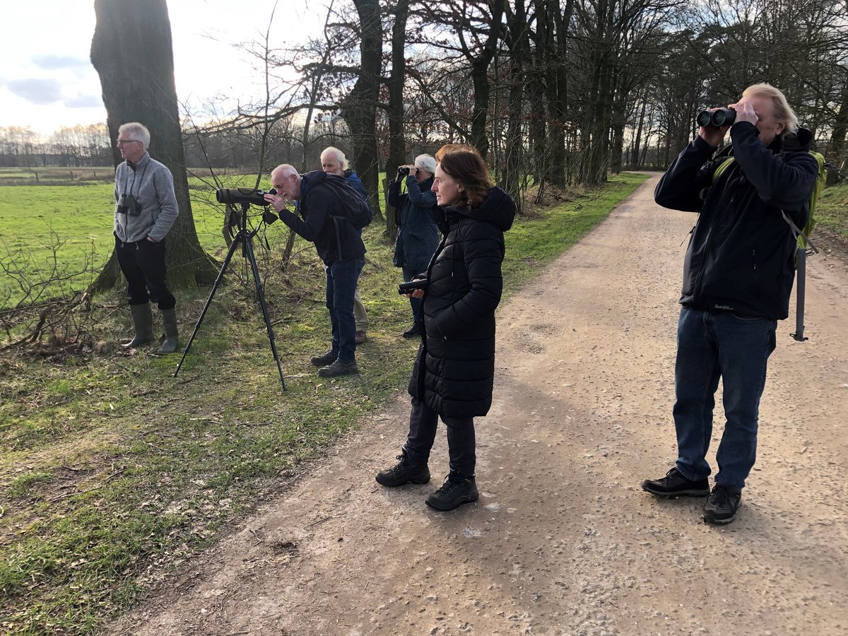 Teilnehmer beobachten etliche seltene Vögel mit dem Fernglas