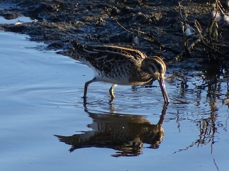 „Rastplatz Nord-Süd“