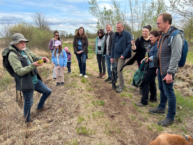 Mit Naturkennern unterwegs im Moor
